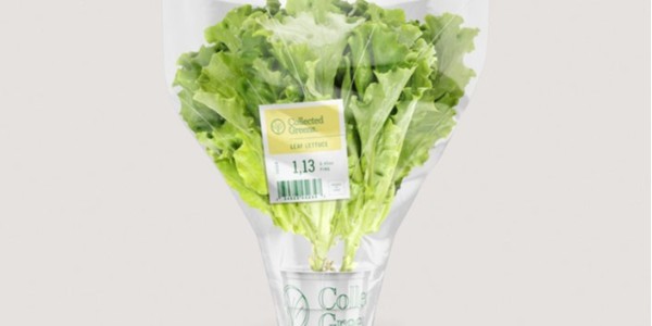 熱敏紙上的字消失了（le）還可以恢複嗎？